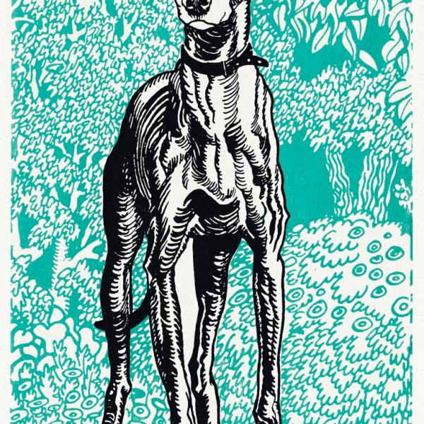 The emotional-support animals of our everyday&nbsp;lives